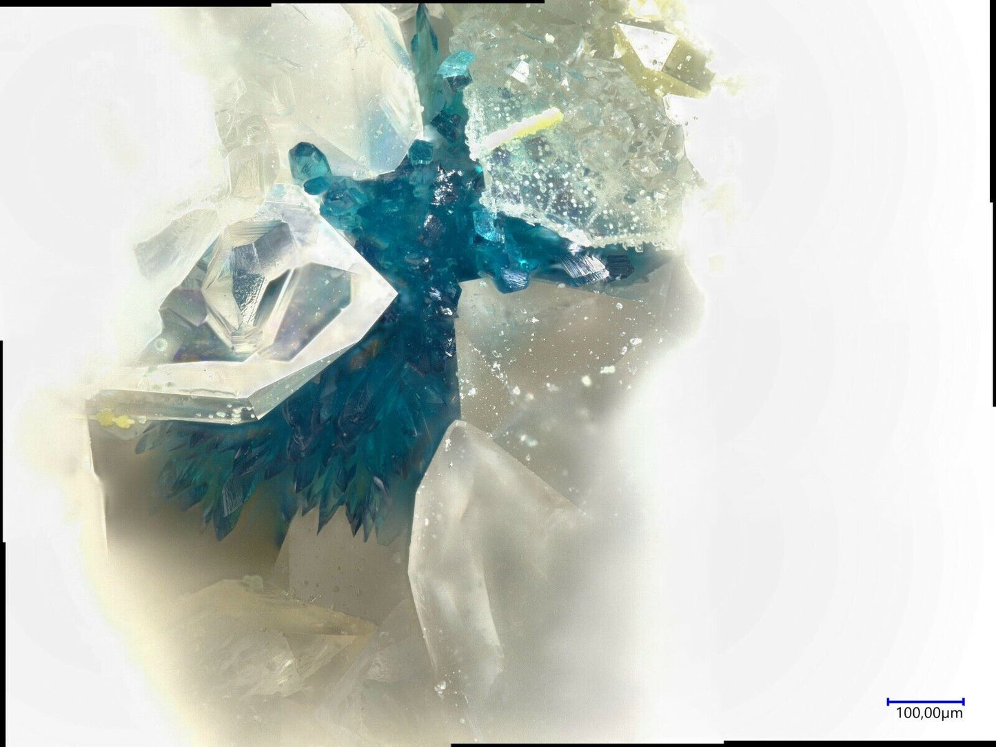 Utahit & Dagenaisit, North Star mine, Utah, USA