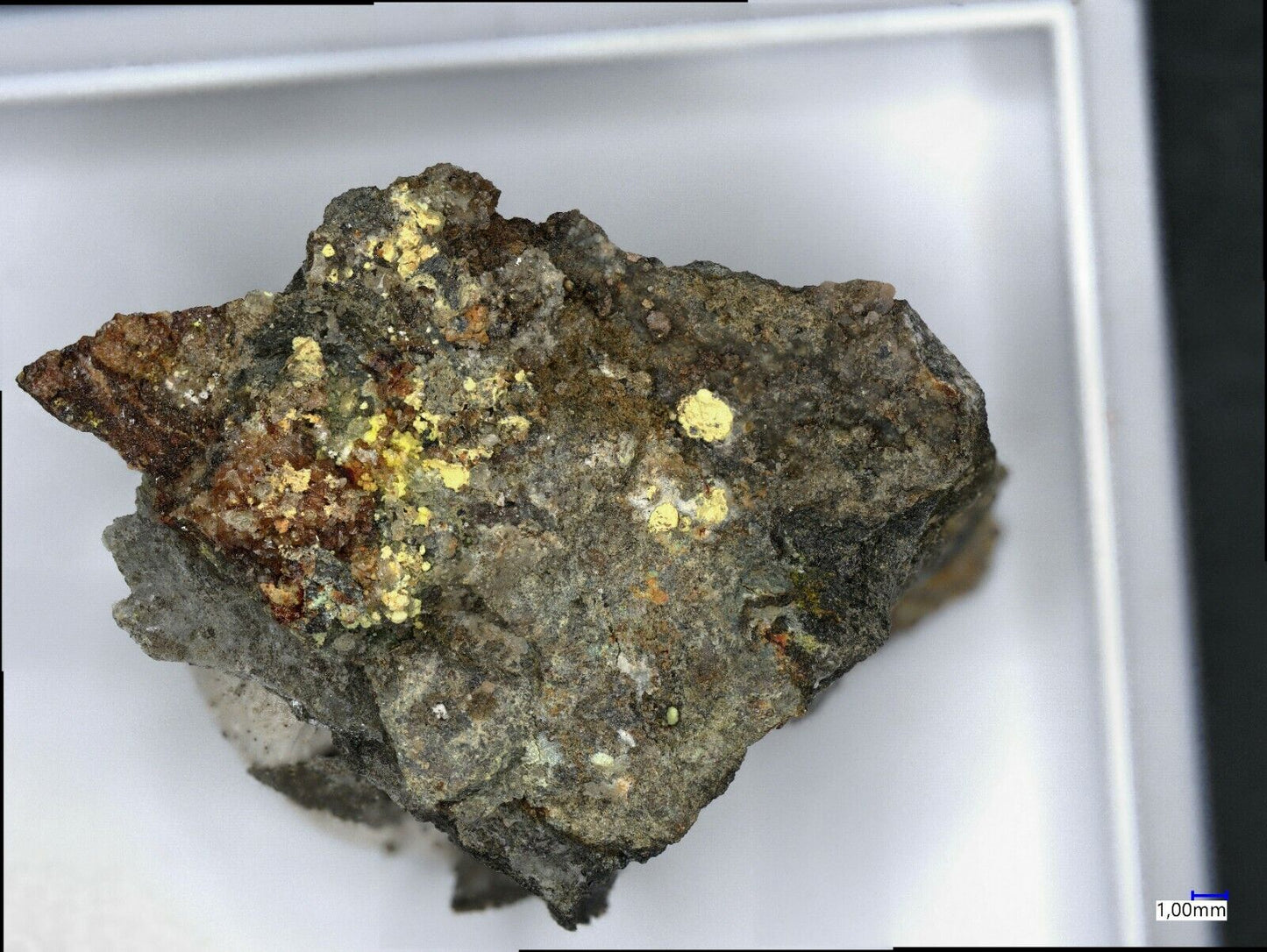 Gearksutite from the Uranus mine, Kleinrückerswalde, Saxony, Germany