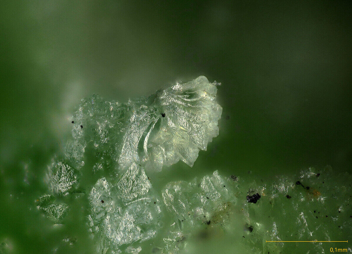 Austinite Tsumeb mine, Tsumeb, Namibia SEM-EDS & Raman MA1663