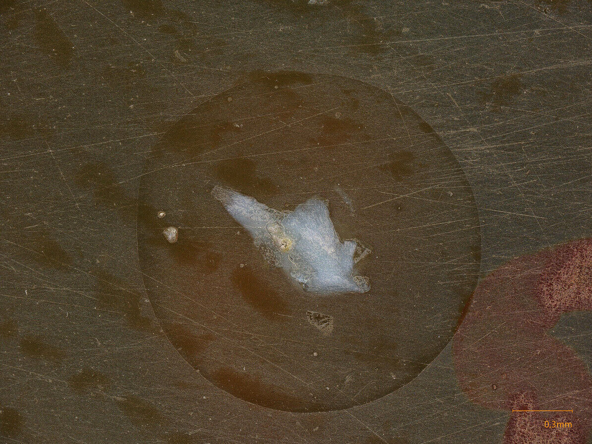 Krasnovite Zhelezny Quarry, Kola Peninsula, Russia - electron probed