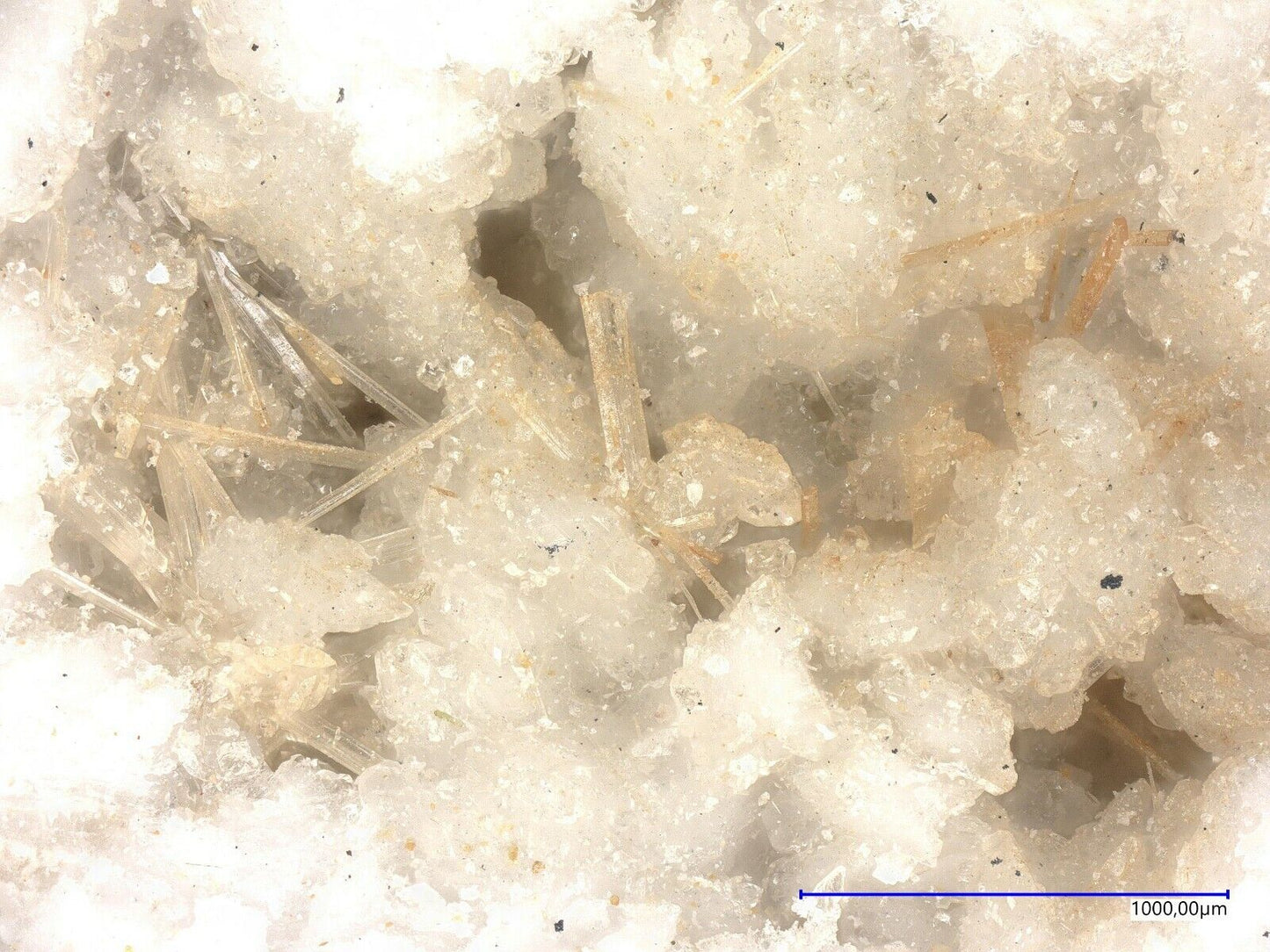 Korobitsynite Shomiokitovoe, Umbozero, Kola, Murmansk Oblast, Russian Federation