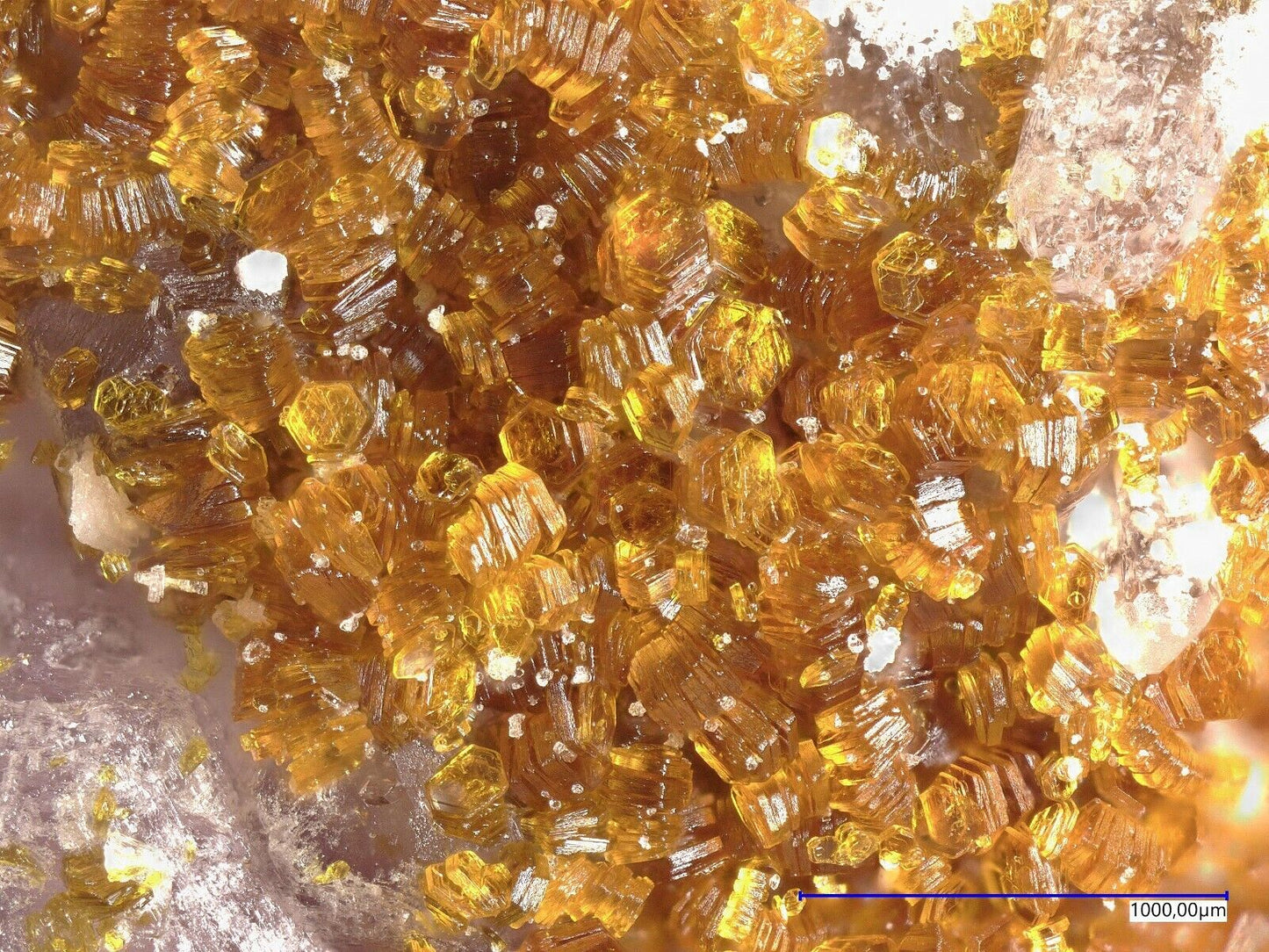 Metavoltin, Alcaparrosa mine, Cerritos Bayos, Antofagasta, Chile