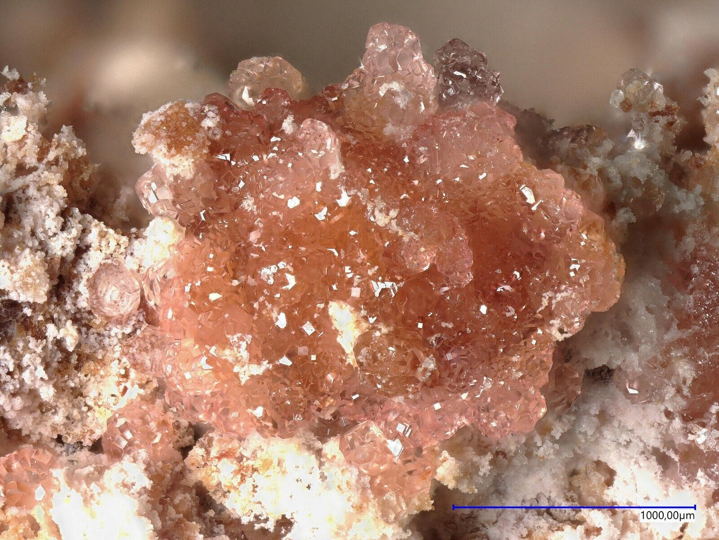 Variscite Mejillones Peninsula, Mejillones, Antofagasta Region, Chile