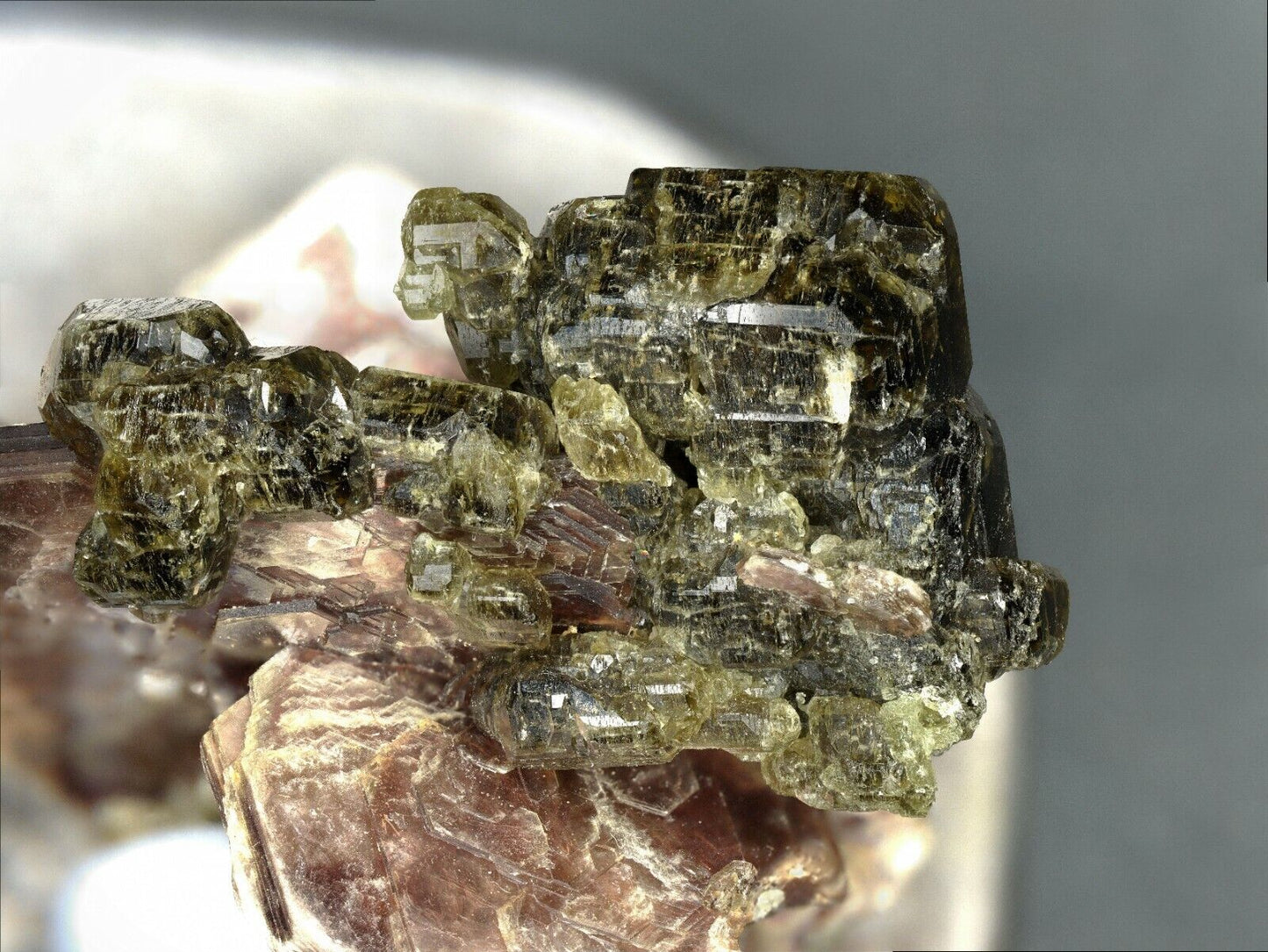 Apatit / Apatite Conselheiro, Minas Gerais, Brasilien / Brazil