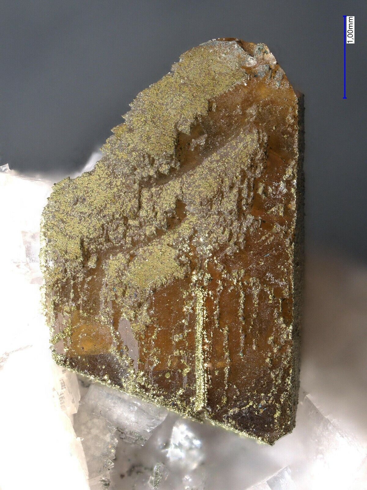Sphalerite & Chalcopyrit, Büschhof quarry., Wirtenbach, Germany