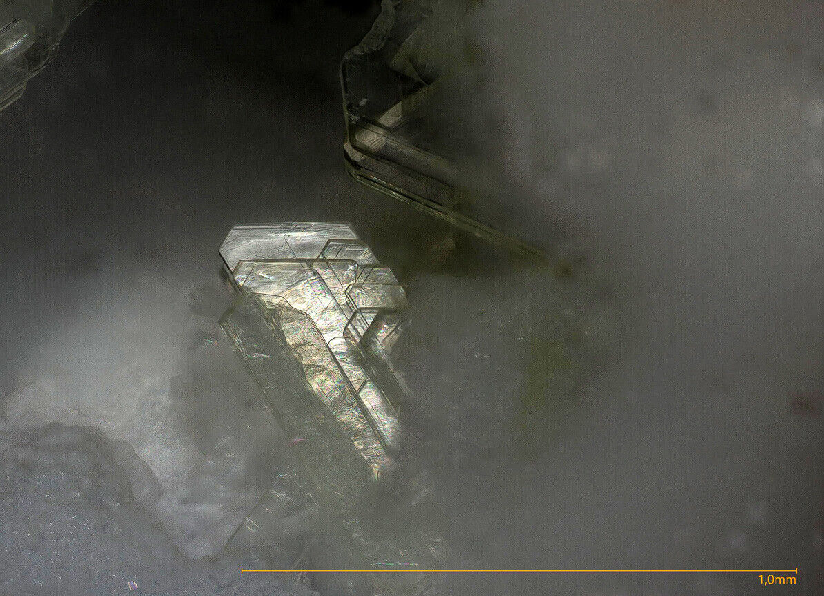 Kuzelite & others Mayener field, Mayen-Koblenz District, Rhineland-Palatine