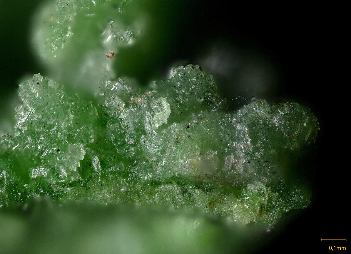 Austinite Tsumeb mine, Tsumeb, Namibia SEM-EDS & Raman MA1663