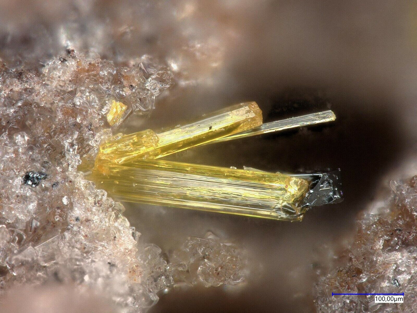 Topas xx 2 Farben Emmelberg Übersdorf Deutschland