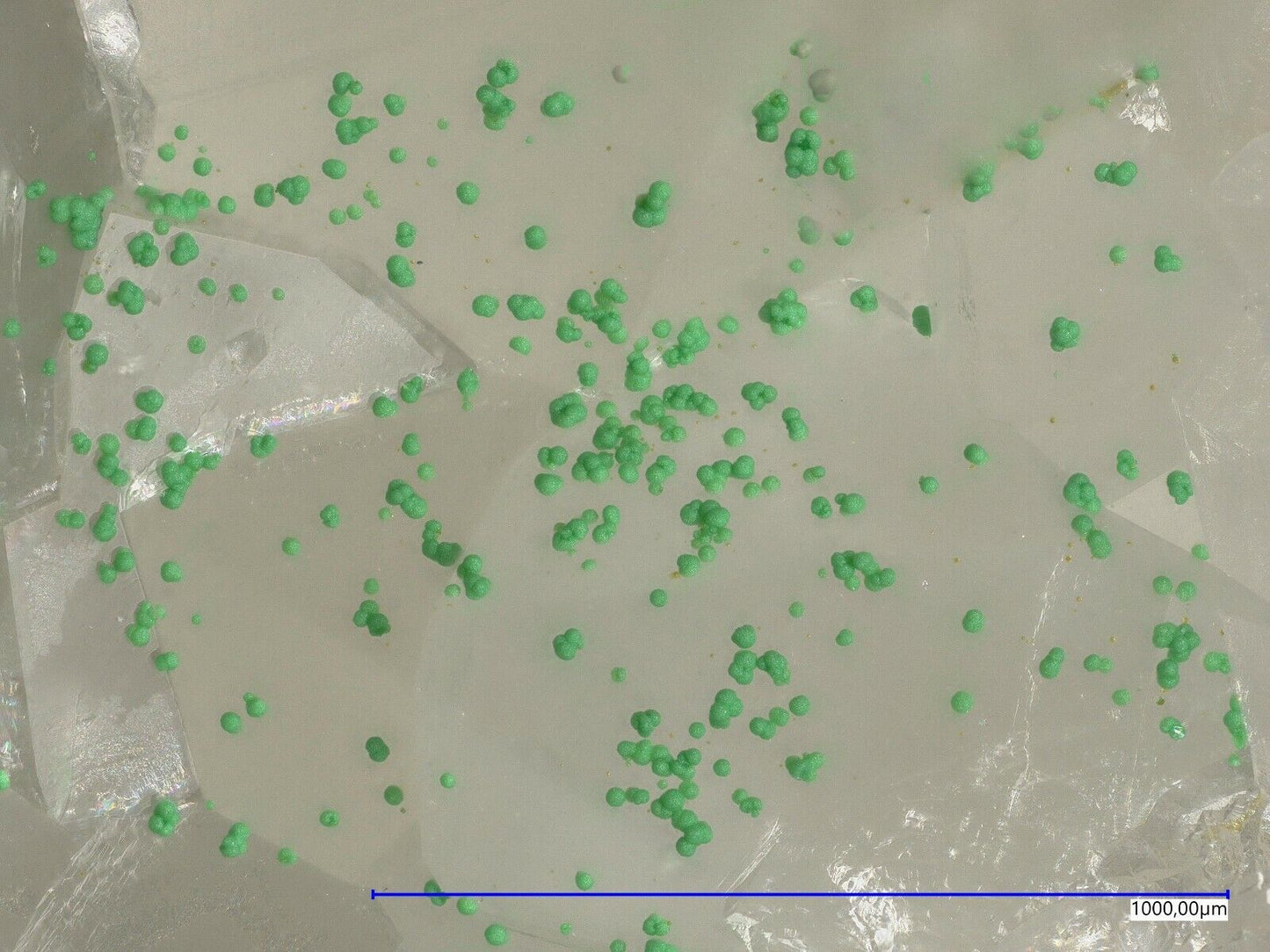 Tlapallit & Goldfieldit Raman & EDX untersucht North Star mine, Utah, USA