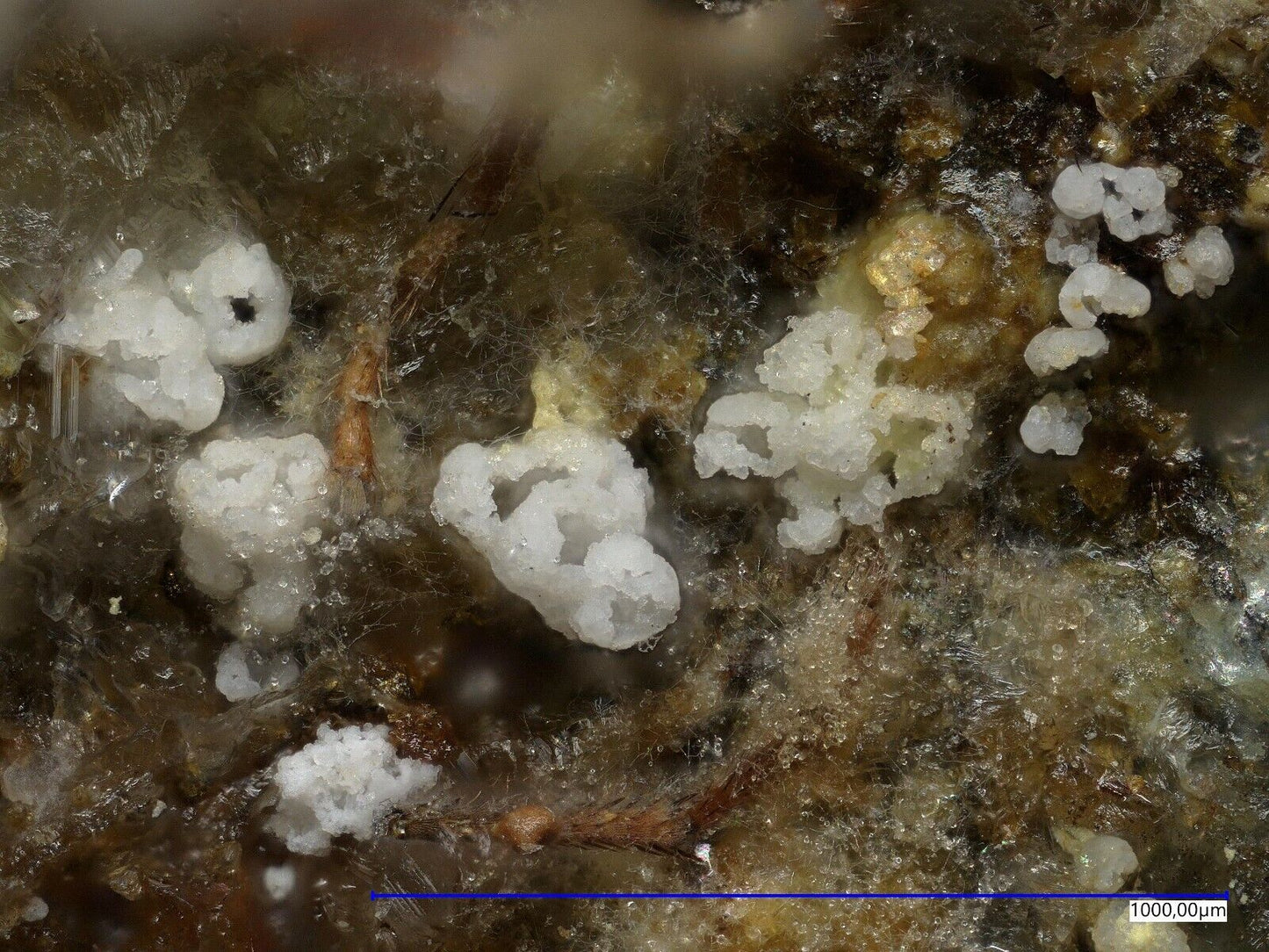 Gearksutite from the Uranus mine, Kleinrückerswalde, Saxony, Germany