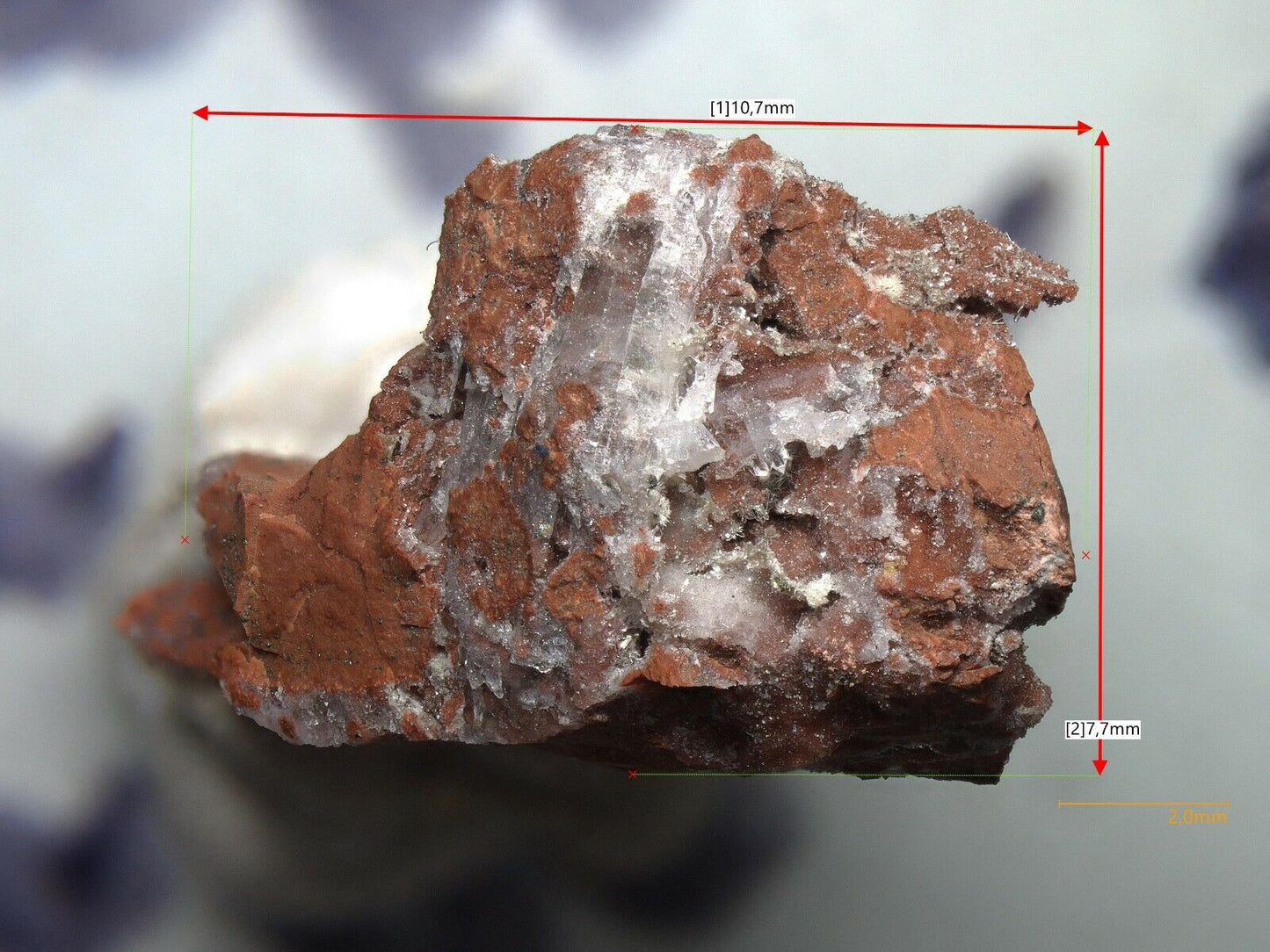 Rhabdophane-Ce Clara Mine, Oberwolfach, Germany - SEM-EDS