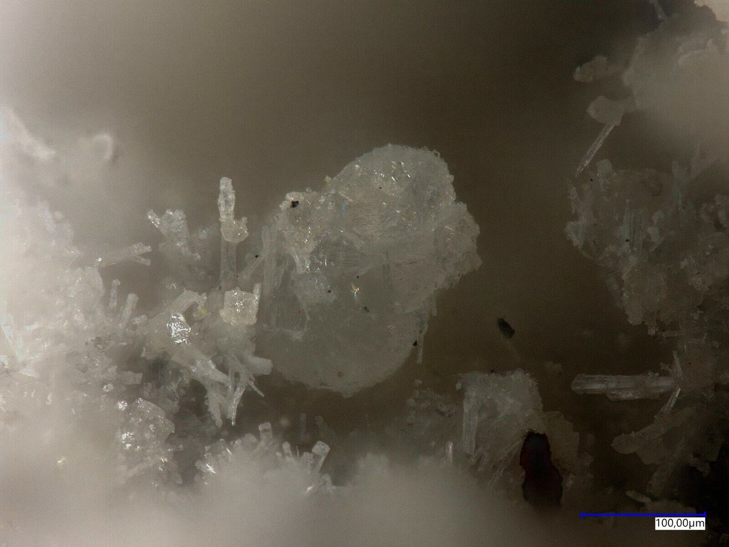 Camanchacaite & Torrecillasite, Torrecillas mine, Iquique, Chile EDX analysed