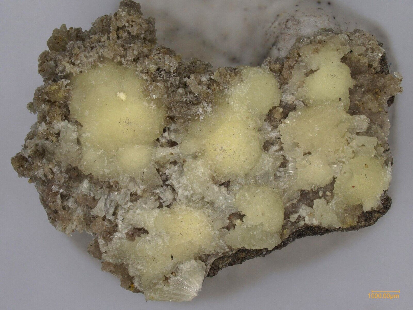 Dickthomssenite Vanadium Queen mine, La Sal, Utah, USA