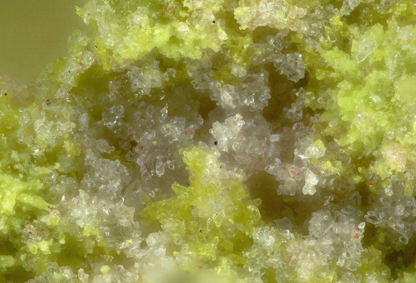 Philipsbornite & Gartrellite Tsumeb mine, Tsumeb, Namibia EDS no 1070