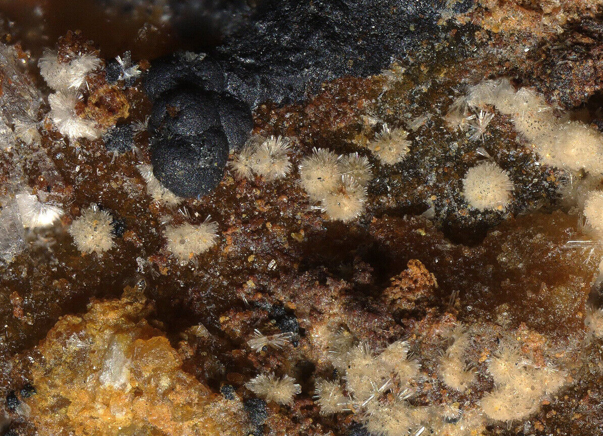 Churchite-(Y) Brunhilde mine, Menzenschwand, Germany  - SEM-EDS conf.