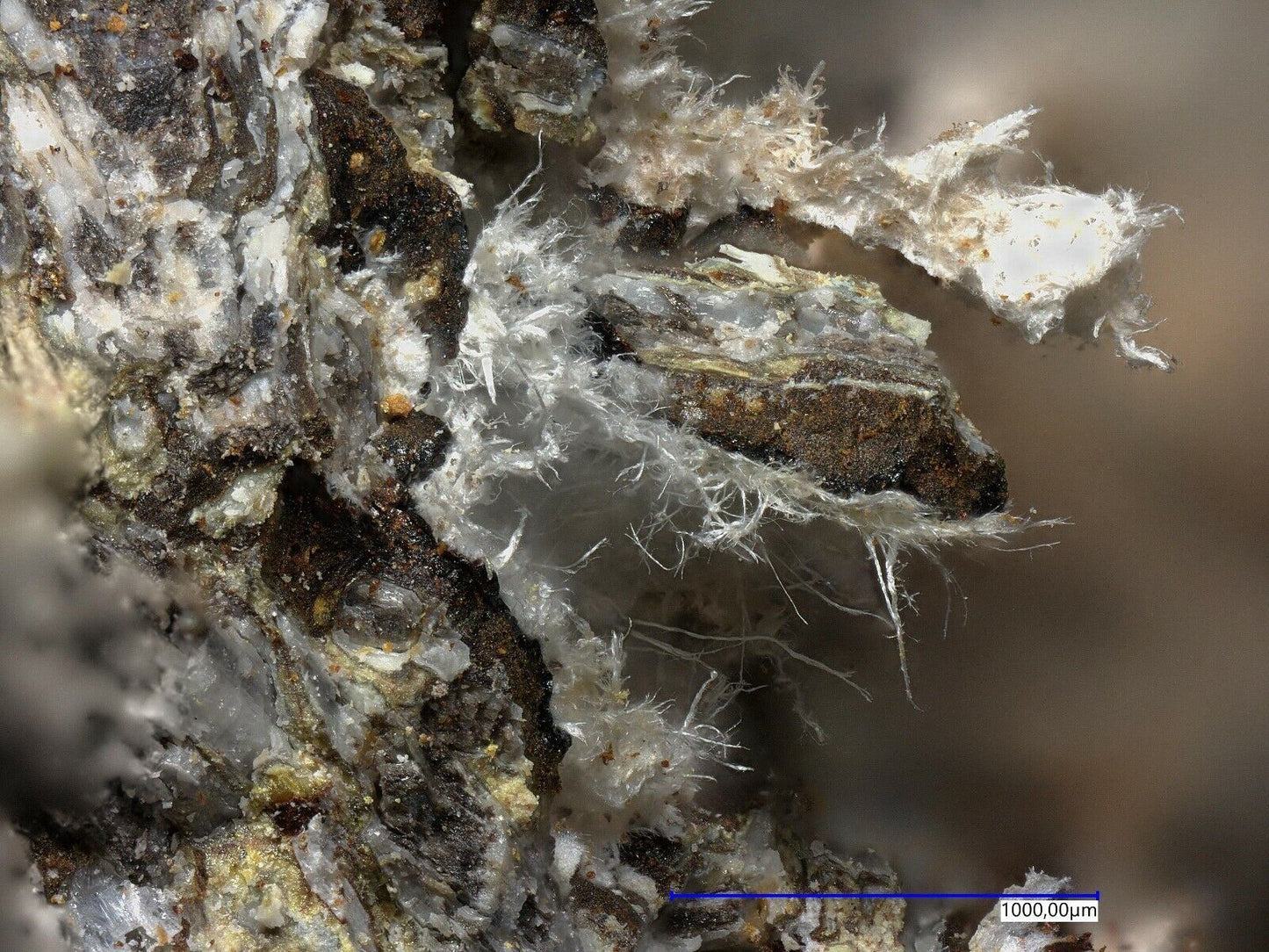 Tavagnascoite Esmoraca District, Lipez Prov., Potosi, Bolivia