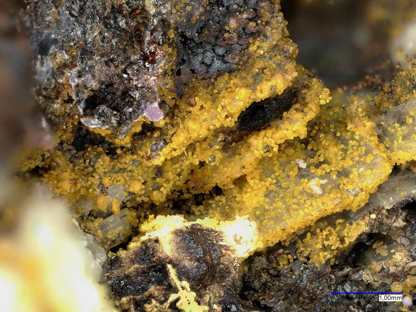 Leukophosphit & Cyrilovit Sapucaia Mine, Minas Gerais, Brasilien