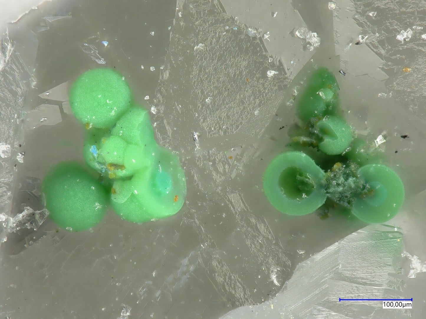 Tlapallit & Goldfieldit Raman & EDX untersucht North Star mine, Utah, USA