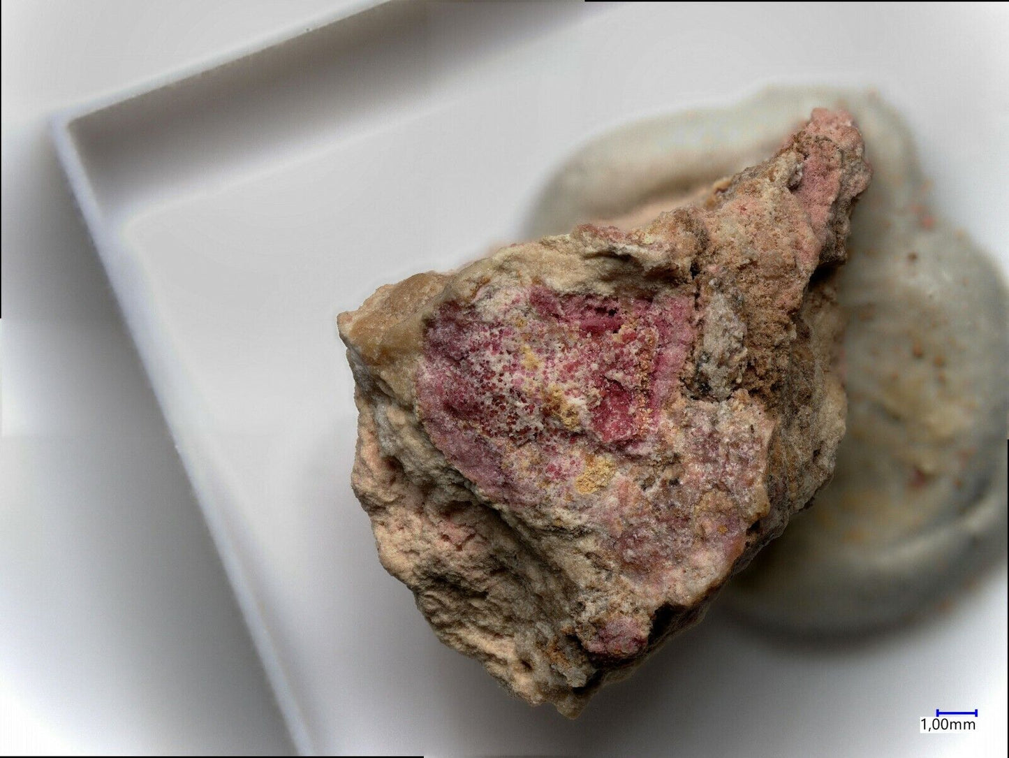 Ammoniotinsleyit Pabellon de Pica, Iquique, Chile EDX & XRD untersucht