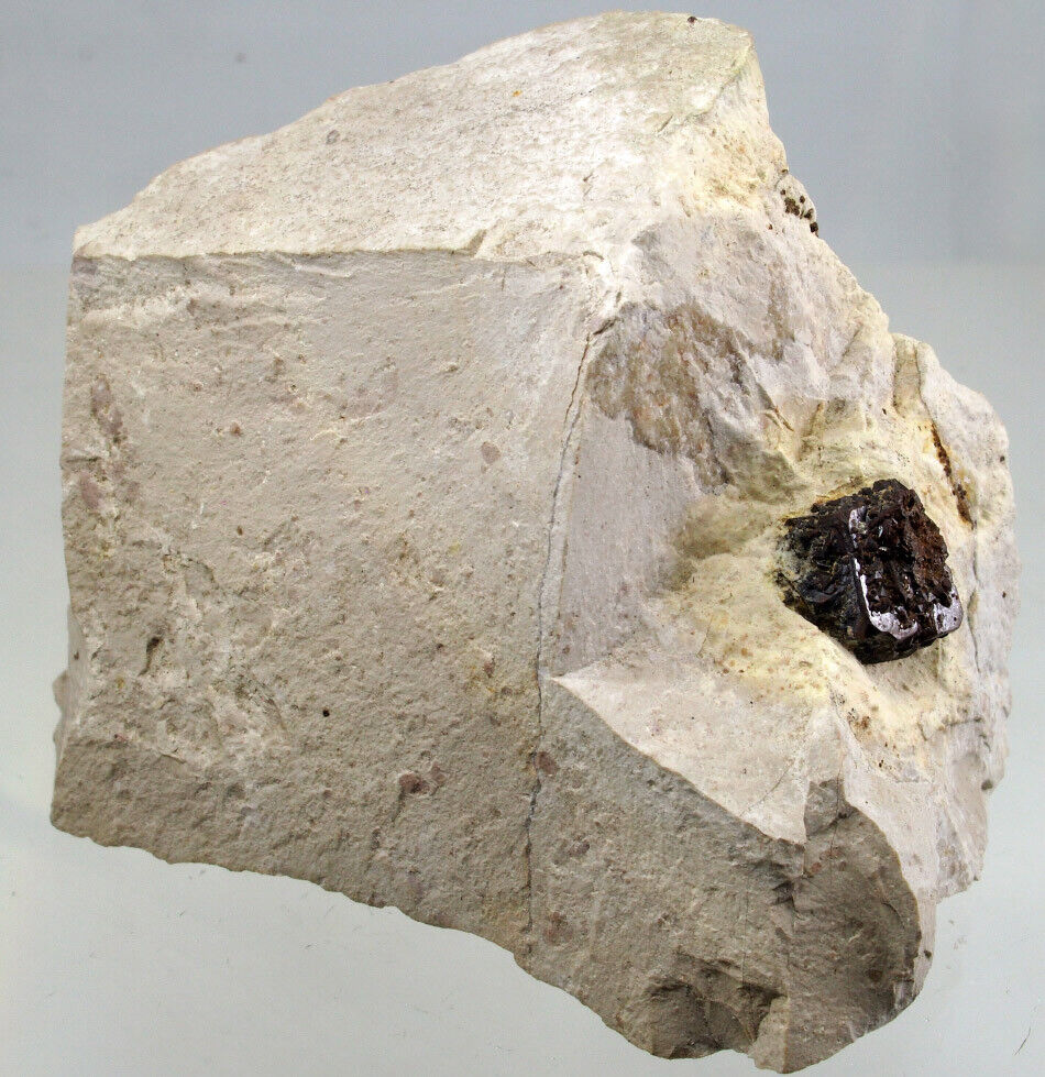 Limonite Psm Pyrite Burglengenfeld, Schwandorf, Upper Palatinate, Germany