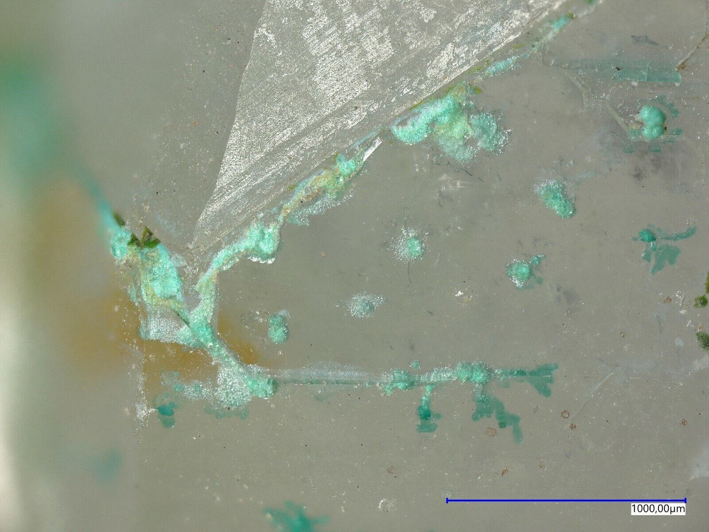 Mojaveit Bird Nest Drift, Otto Mountain, Baker, Kalifornien, USA