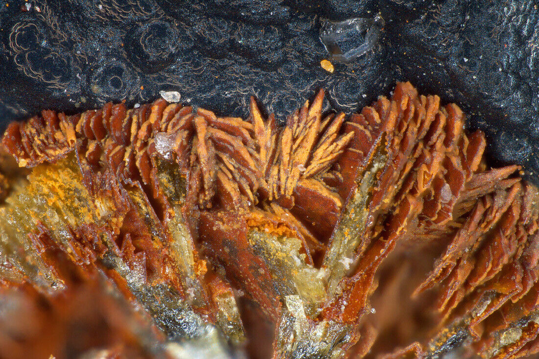 Pattersonite Vereinigung Mine, Eisenbach, Selters, Hesse, Germany