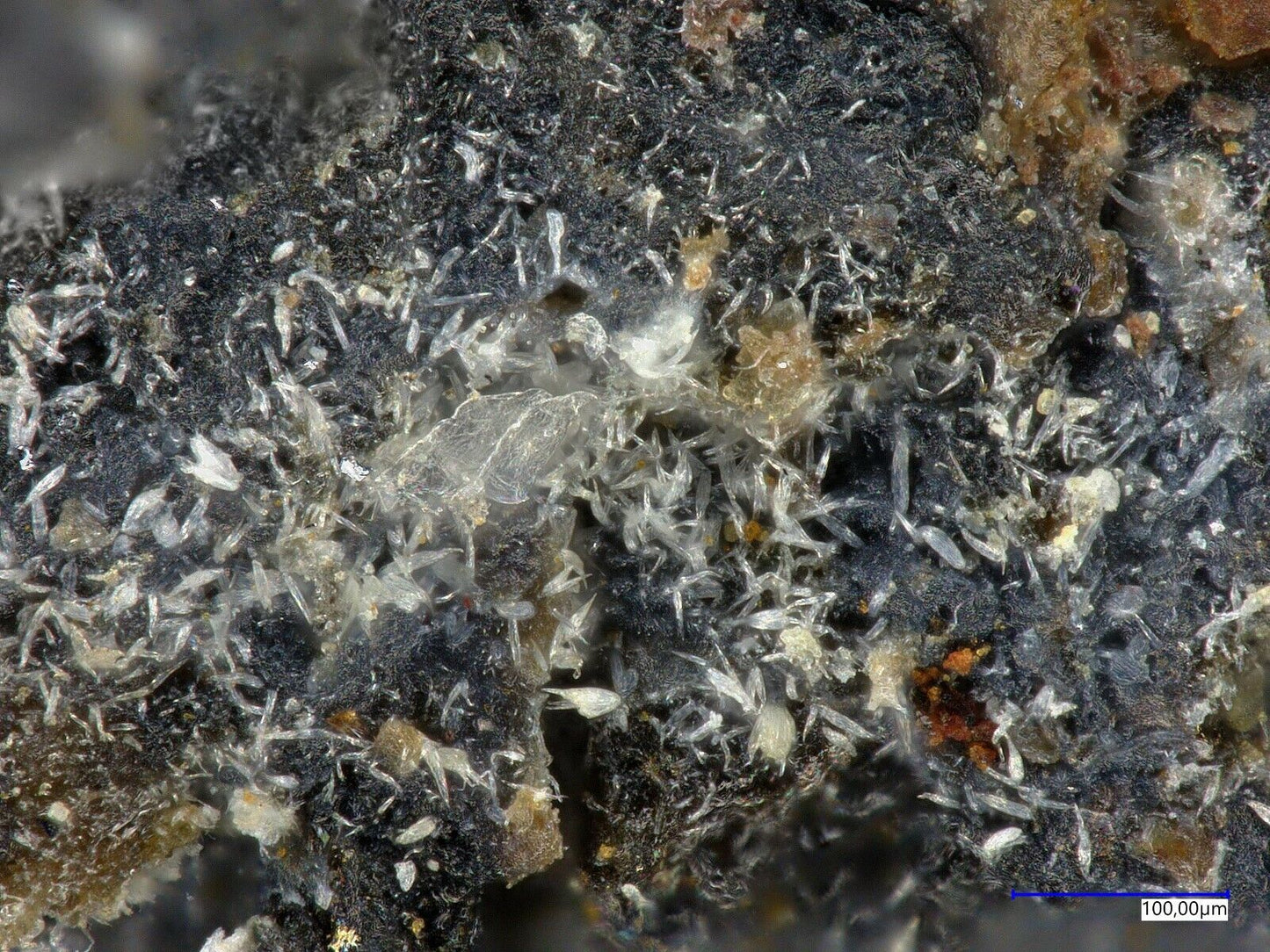 Tavagnascoit xx & Haleniusit-La Bastnäs, Västmanland, Schweden
