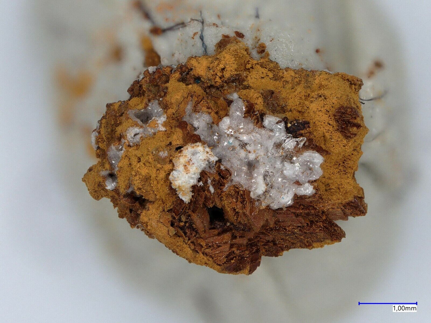 Uklonskovite & Caracolite La Compania mine, Sierra Gorda, Antofagasta, Chile EDX