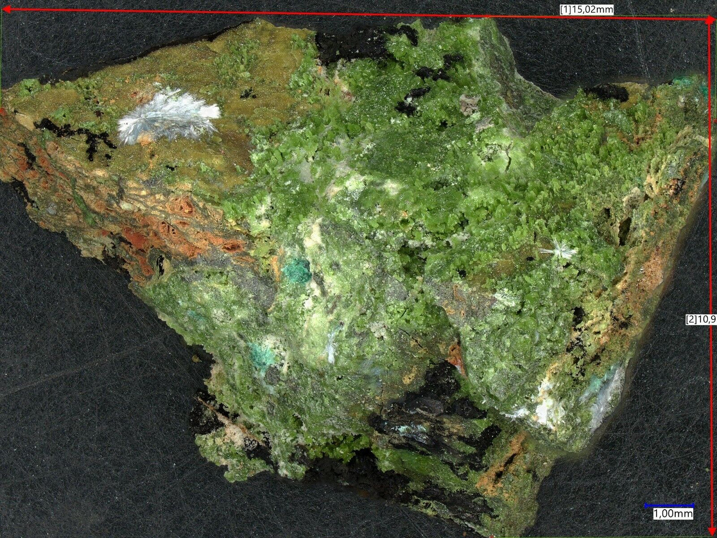 Dundasite Tsumeb mine, Tsumeb, Namibia EDX analysed Nr fb75