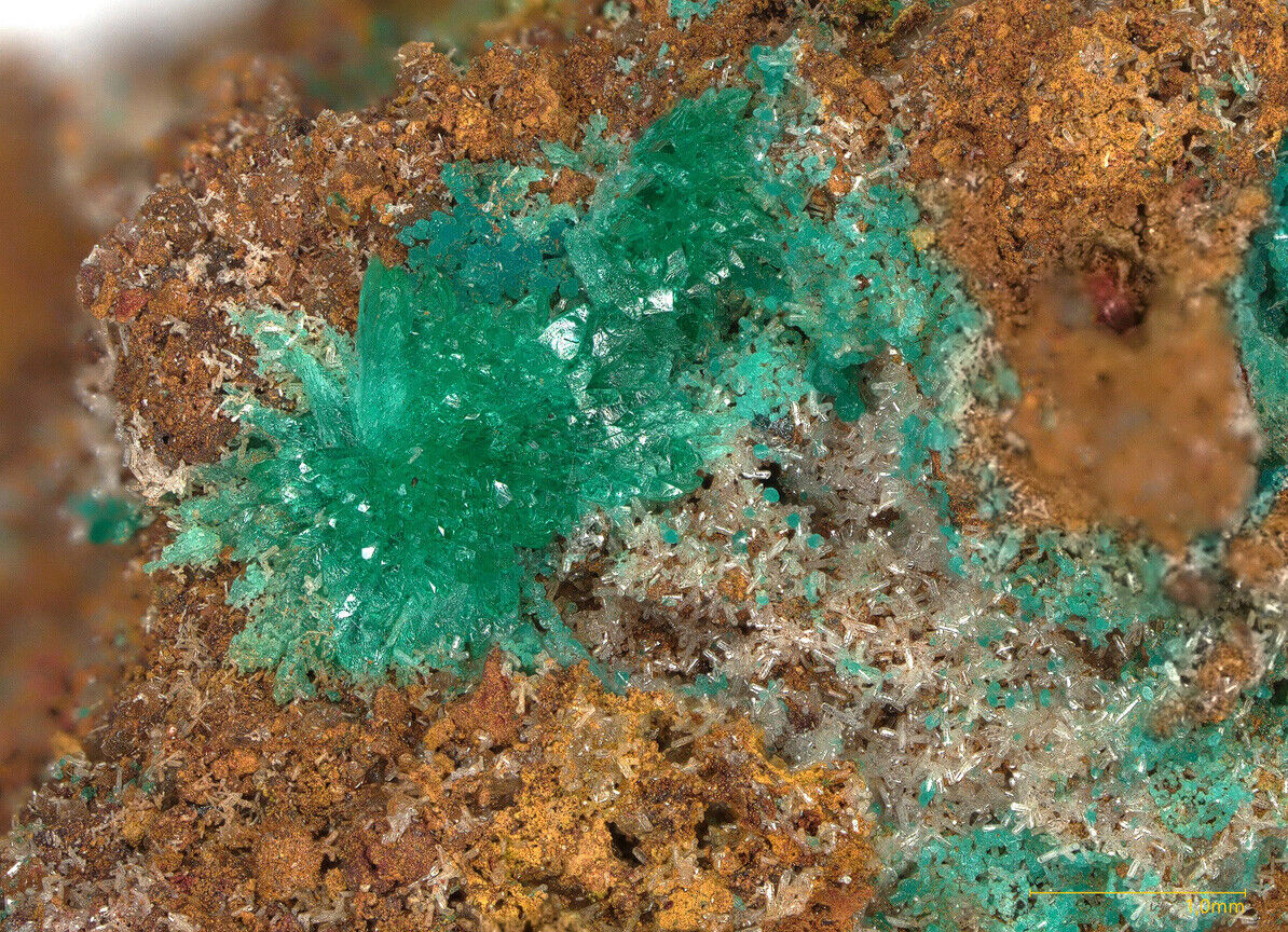 Kipushite & Philipsburgite - type locality - Kipushi, Katanga, DR Congo