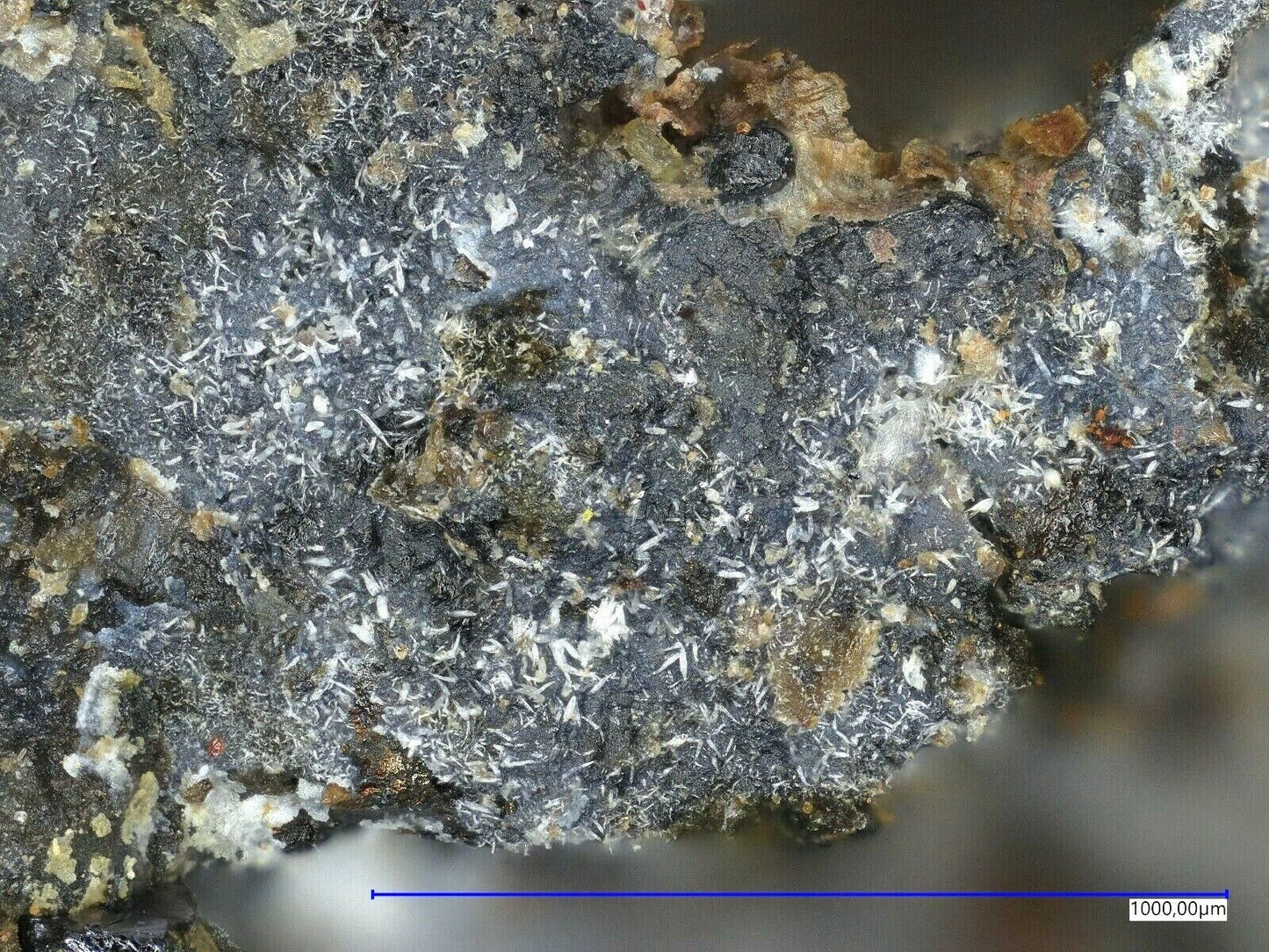 Tavagnascoit xx & Haleniusit-La Bastnäs, Västmanland, Schweden
