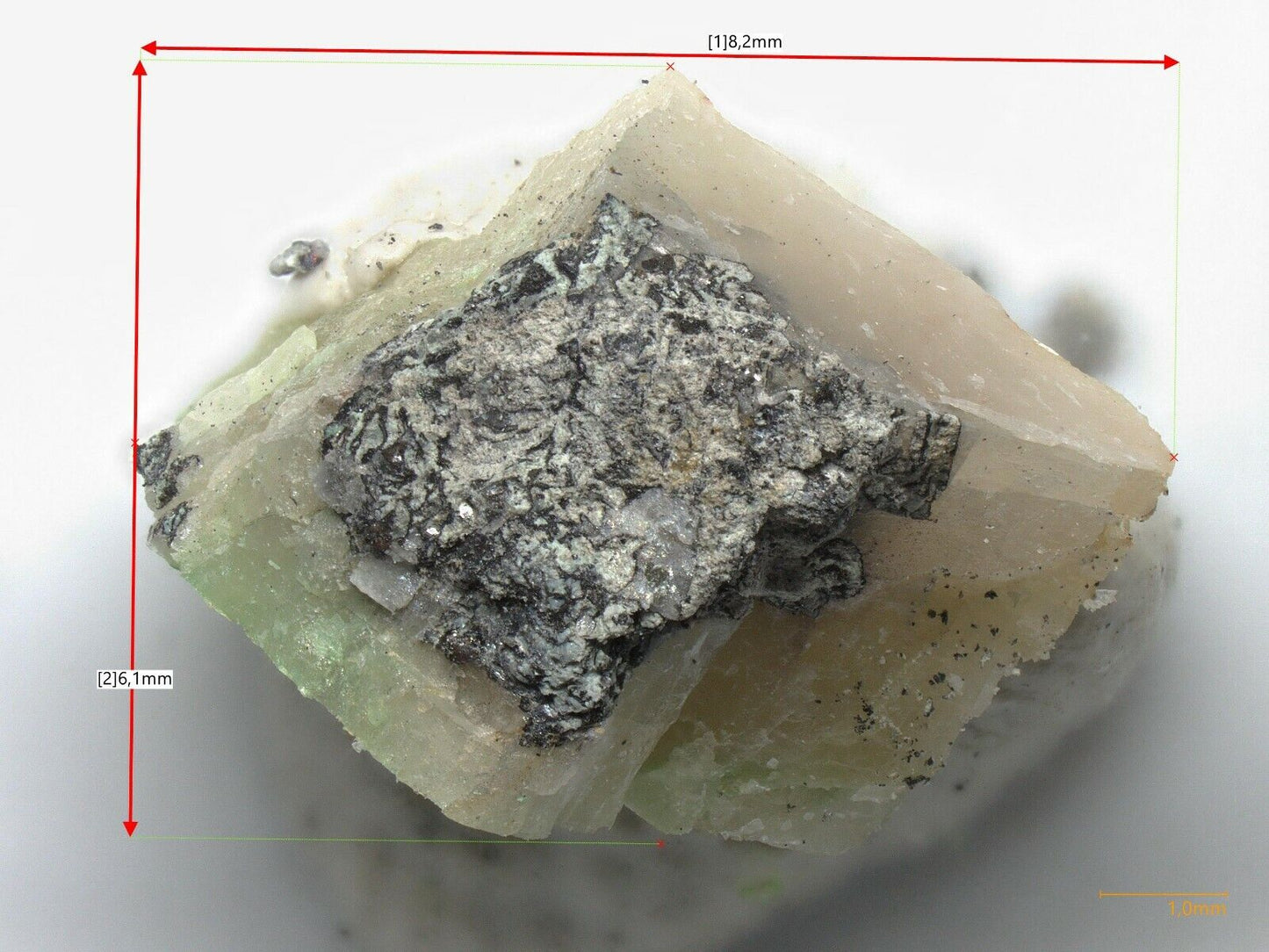 Plumbotellurite & others  Bambollita Mine, Sonora, Mexico - SC-XRD, EDS