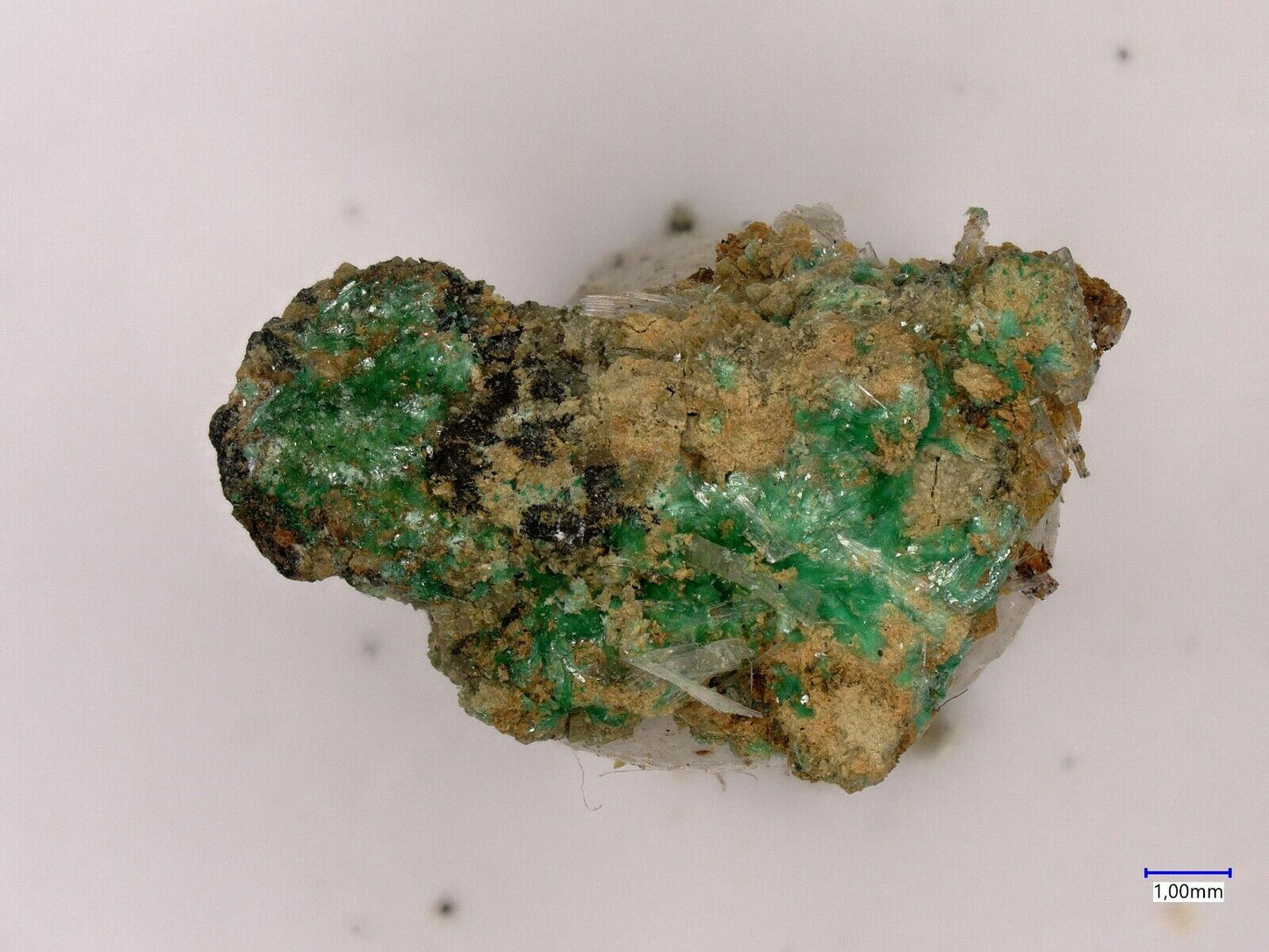 Ktenasite Uranus mine, Kleinrückerswalde, Saxony, Germany EDX XRD analysed