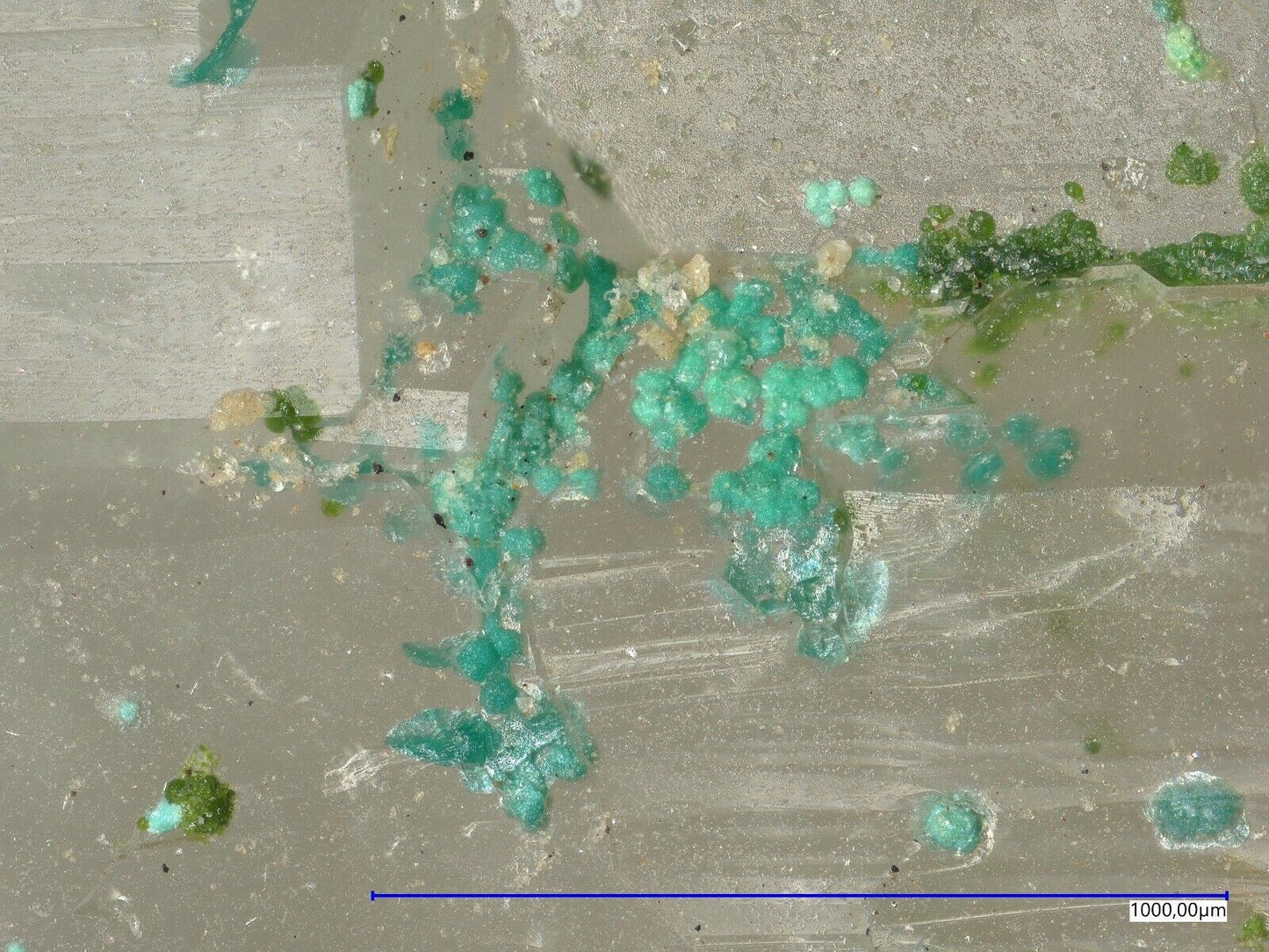 Mojaveit Bird Nest Drift, Otto Mountain, Baker, Kalifornien, USA