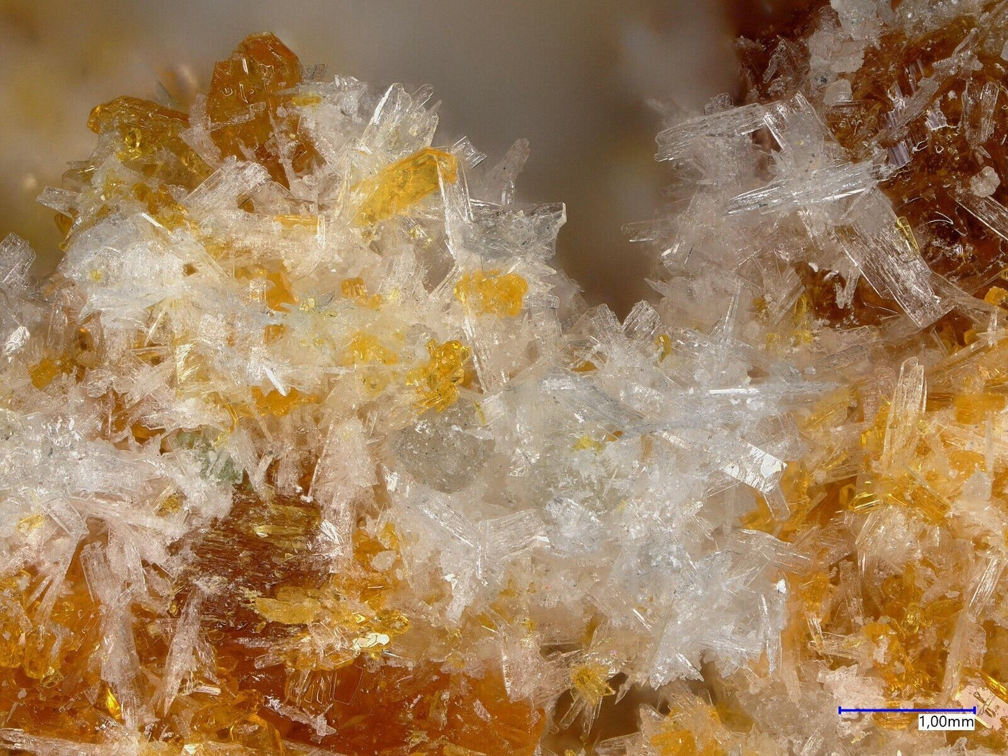 Antofagastait, Coronel Manuel Rodriguez mine, Mejillones, Chile XRD untersucht