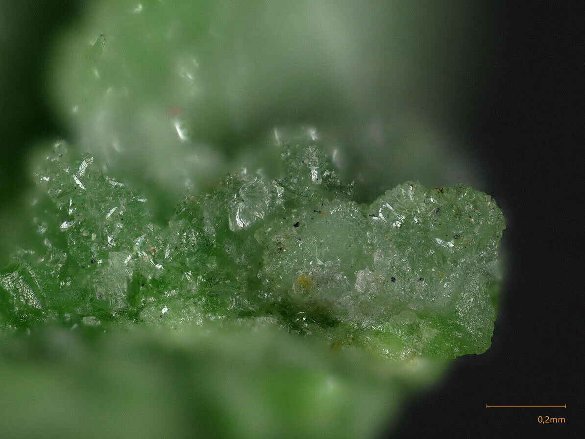 Austinite Tsumeb mine, Tsumeb, Namibia SEM-EDS & Raman MA1663