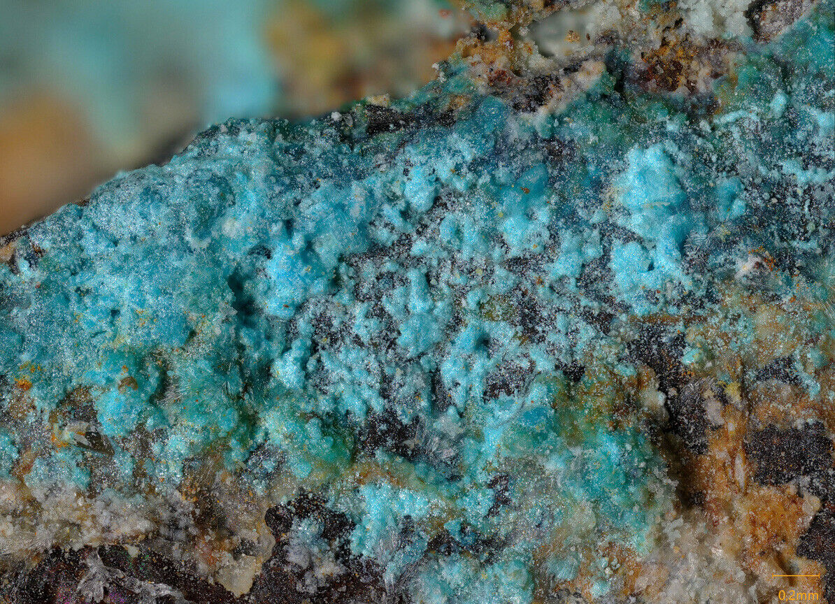 Zdenekite Fosso is Bandius, Gonnosfanadiga, Sardinia, Italy