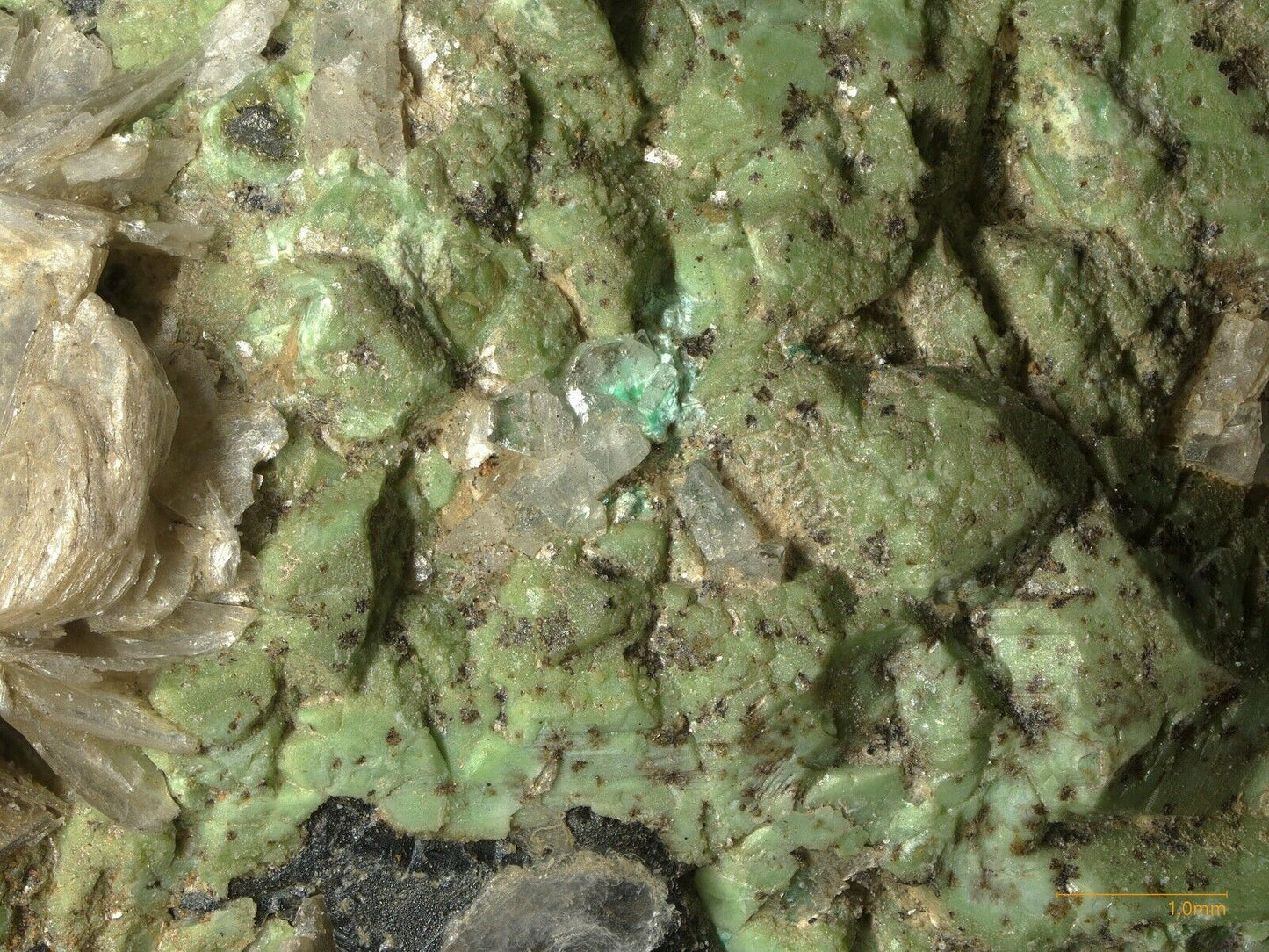 Mushistonite with Cassiterite Xuebaoding Mine, Sichua, China