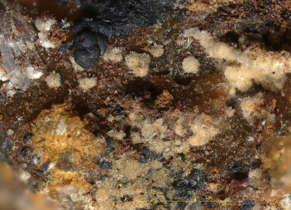 Churchite-(Y) Brunhilde mine, Menzenschwand, Germany  - SEM-EDS conf.