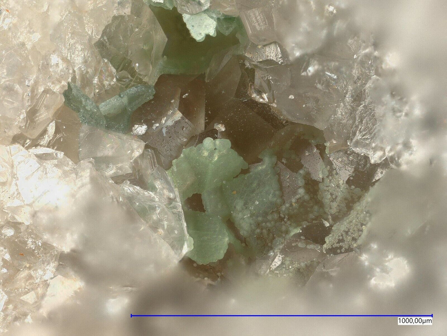 Utahit & Dagenaisit, North Star mine, Utah, USA