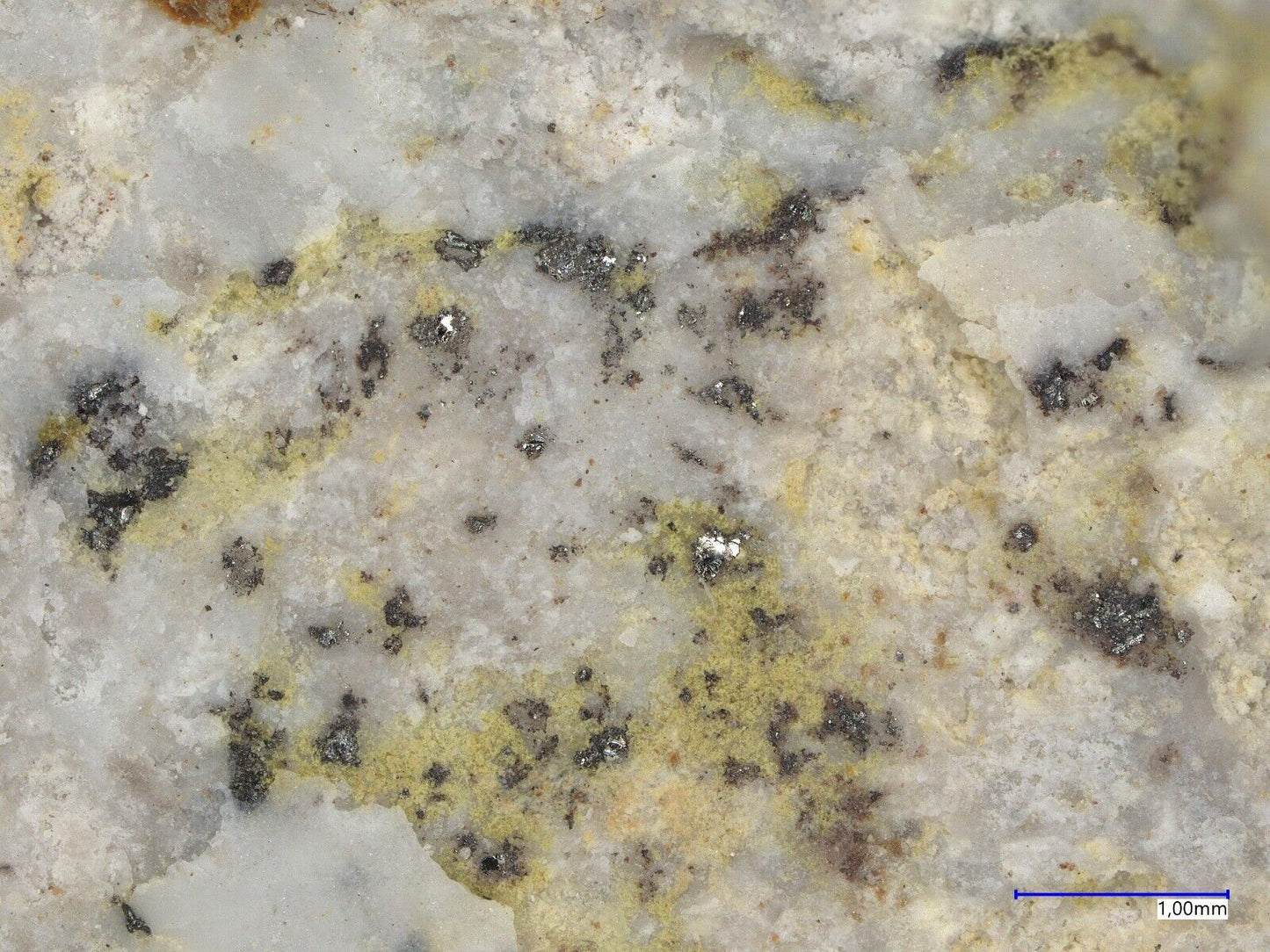 Telluronevskite Poruba pod Vihorlatom, Michalovce Co., Košice Region, Slovakia