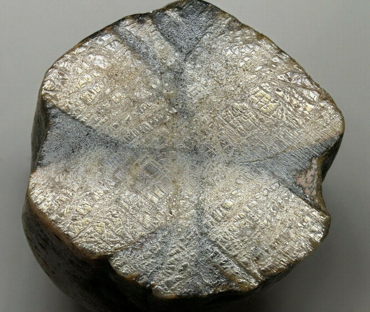 Andulasite Chivalingo quarry, Lota, Concepción Province, Bíobío, Chile