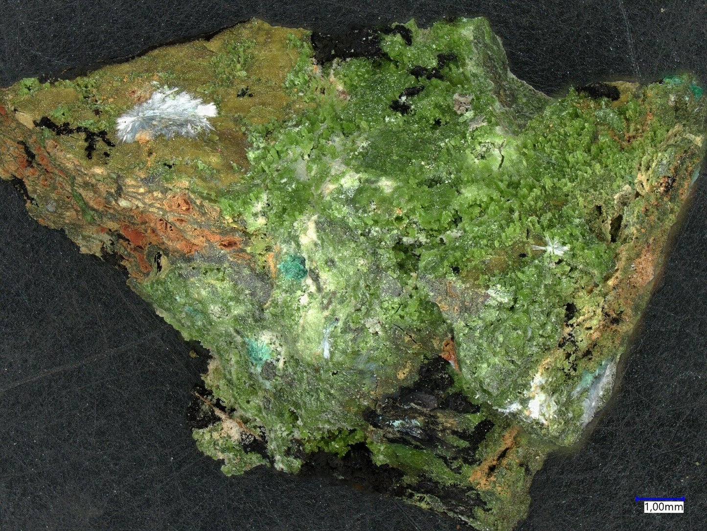 Dundasite Tsumeb mine, Tsumeb, Namibia EDX analysed Nr fb75