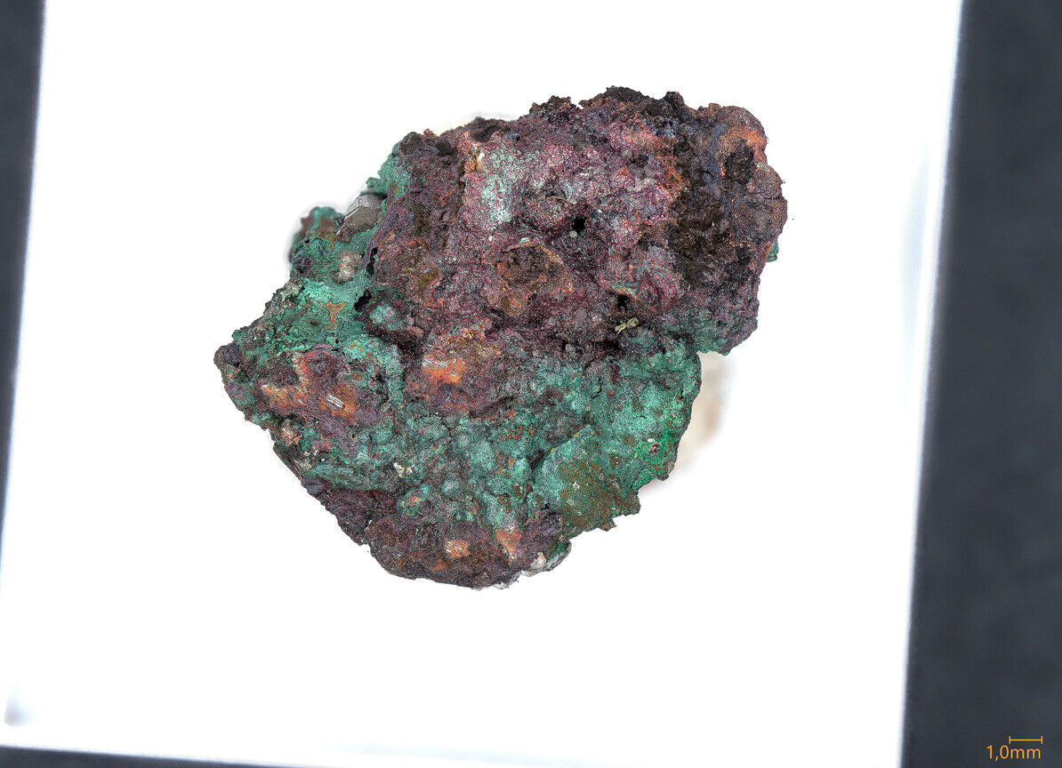 Berzelianite Tsumeb mine, Tsumeb, Namibia - SEM-EDS & PXRD conf.