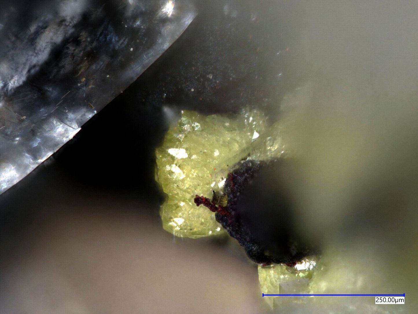 Austinit - Austinite Tsumeb mine, Tsumeb, Namibia - XRD & EDX untersucht