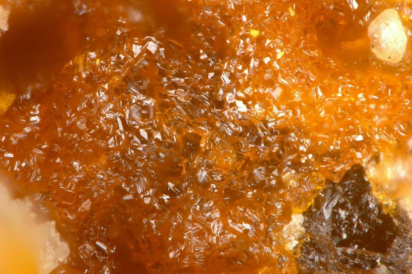 Magnesiopascoite Vanadium Queen mine, Utah, USA analysed