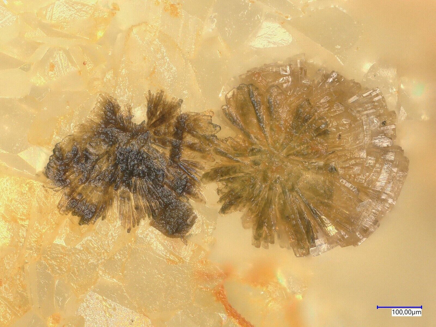 Hemimorphit Lengenbach, Fäld, Binn, Goms, Valais, Schweiz