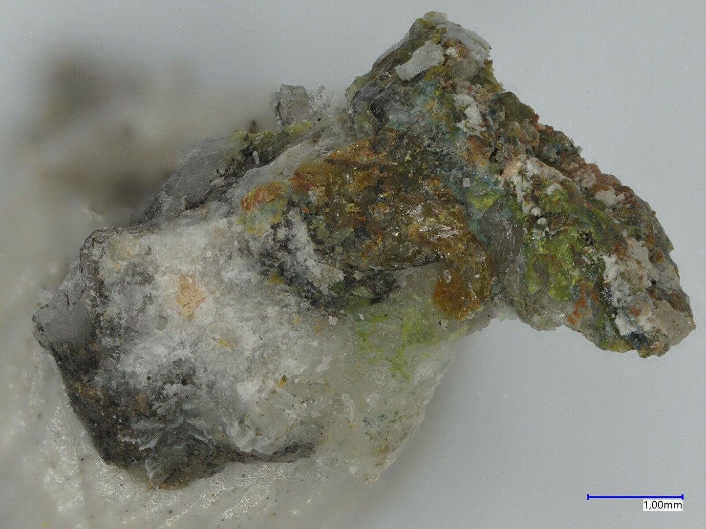 Poughite, Plumbotellurite & Schieffelite Joe Shaft, Cochise Co, AZ, USA SCXRD