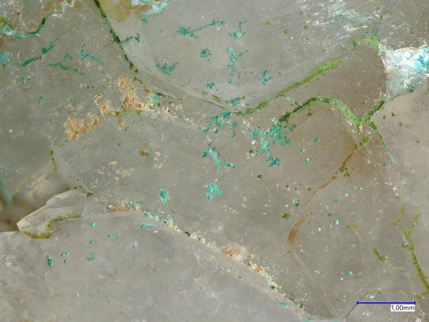 Mojaveit Bird Nest Drift, Otto Mountain, Baker, Kalifornien, USA