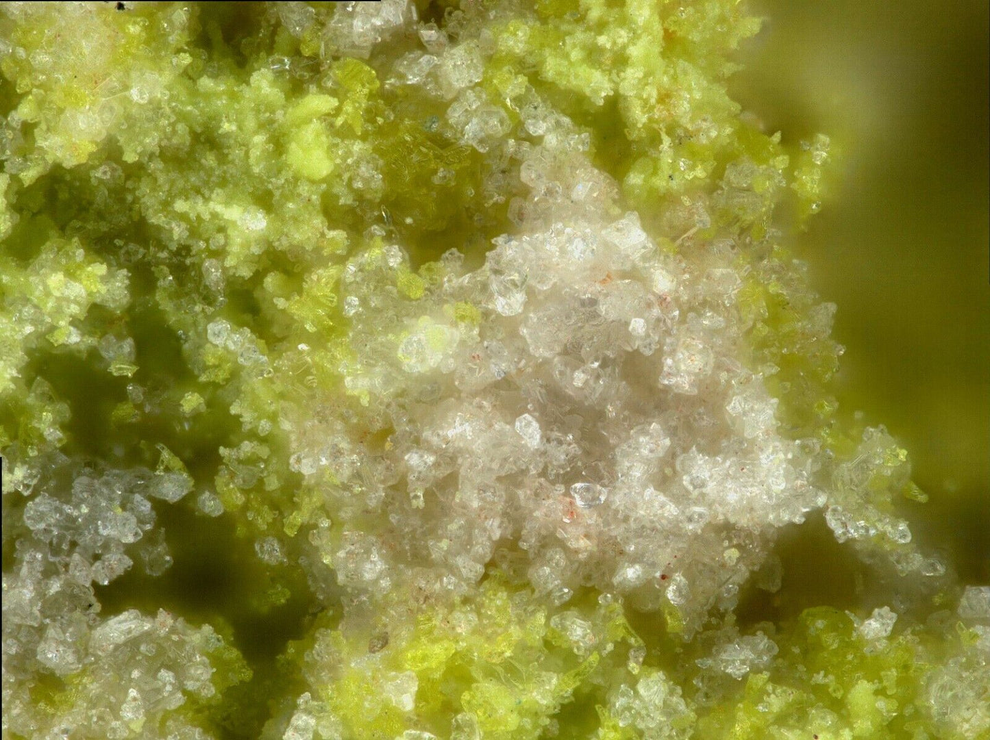 Philipsbornite & Gartrellite Tsumeb mine, Tsumeb, Namibia EDS no 1070